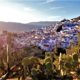 Amideast Regional Studies in French