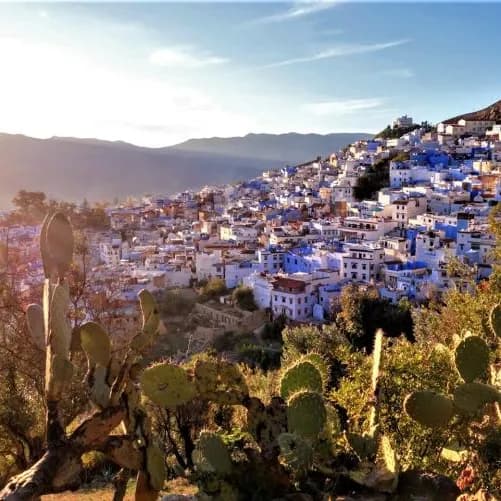 Amideast Regional Studies in French