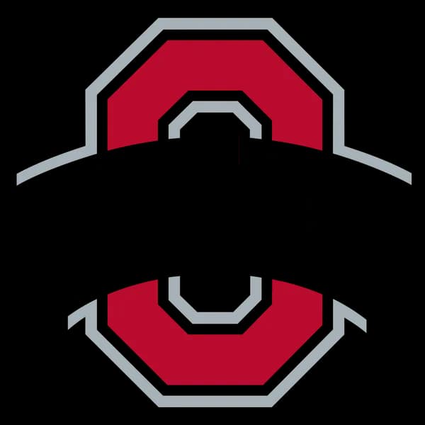 OSU Summer Intensive Arabic Program