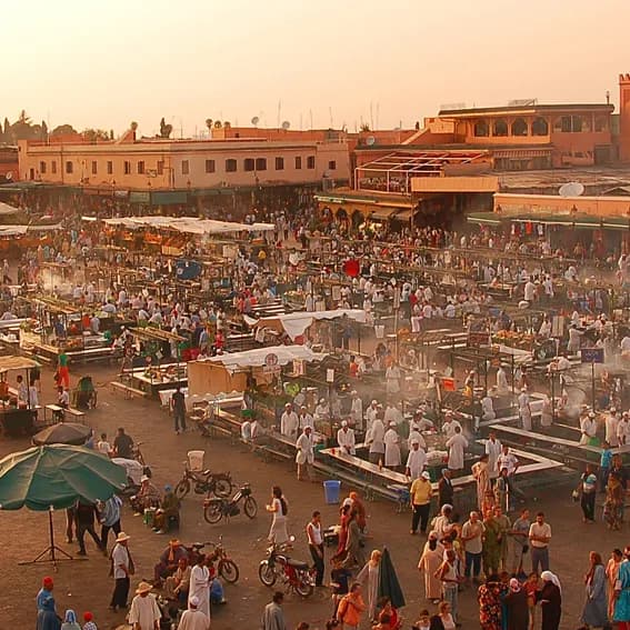 University of Minnesota Summer Arabic Program