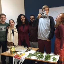 Amideast Semester Area and Arabic Language Studies